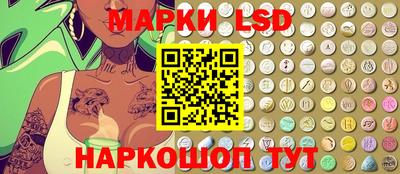 индика Славгород