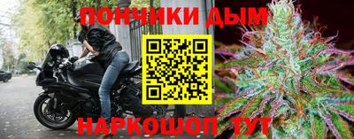 индика Славгород