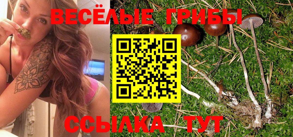 Псилоцибиновые грибы MAGIC MUSHROOMS  Вход с VPN  Похвистнево 